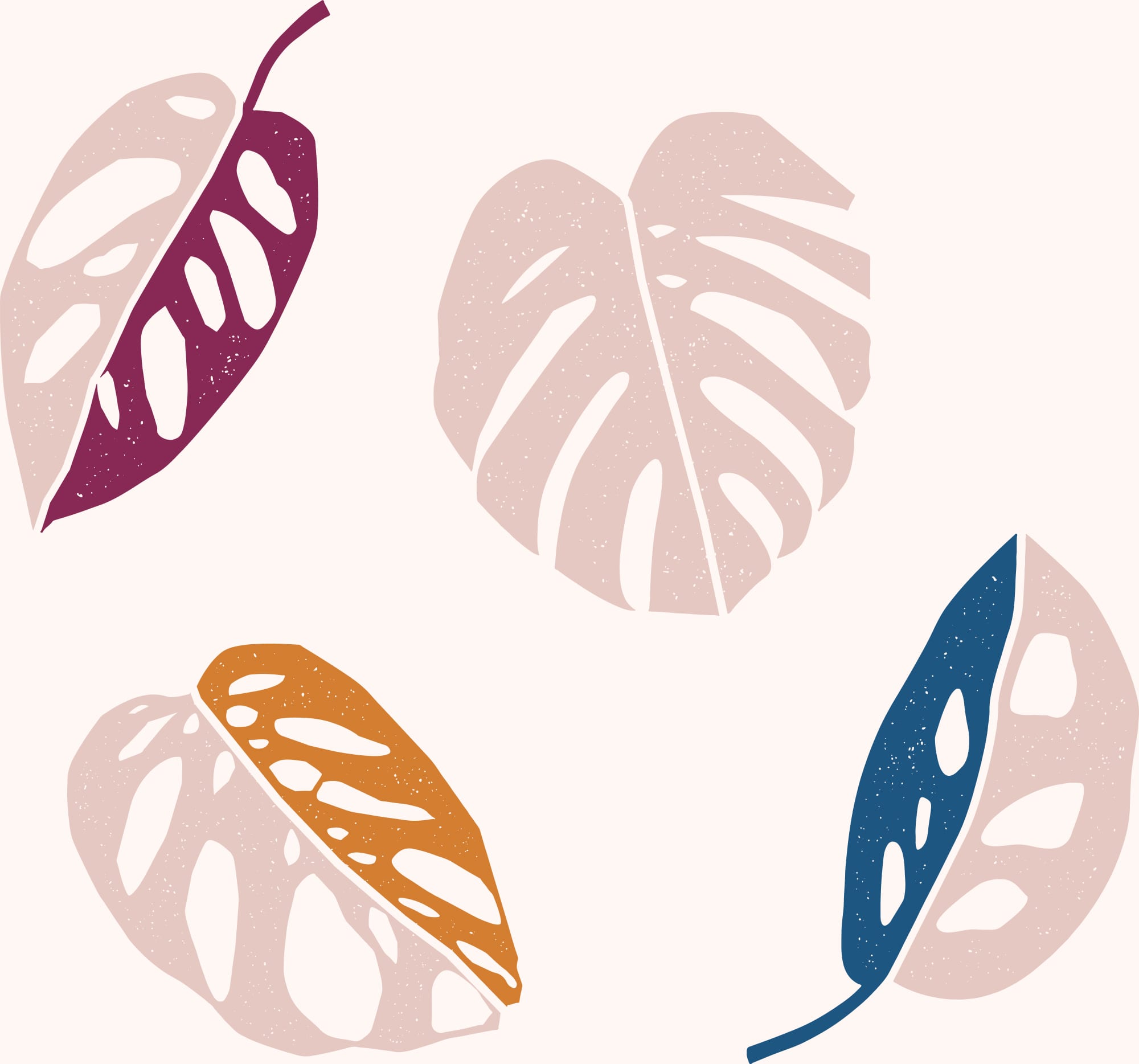 Plantes Rares