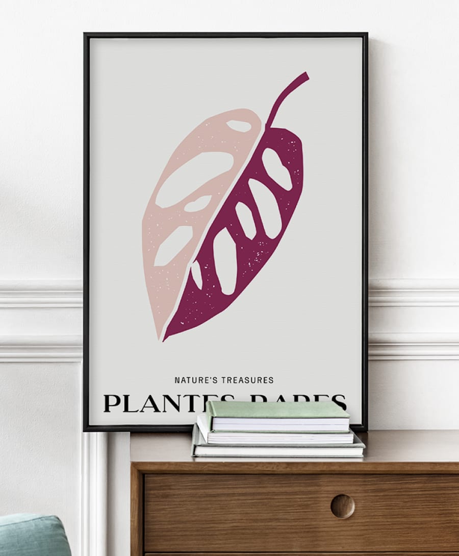 Plantes Rares