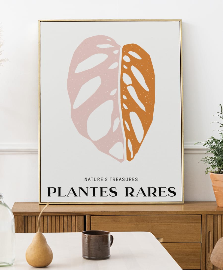 Plantes Rares